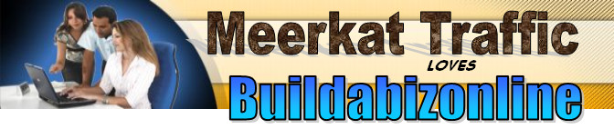 http://buildabizonline.com/images/meerkat-front-banner.jpg